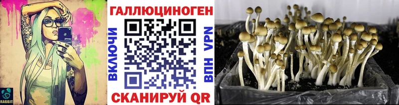 купить наркотик  Кандалакша  Псилоцибиновые грибы прущие грибы 
